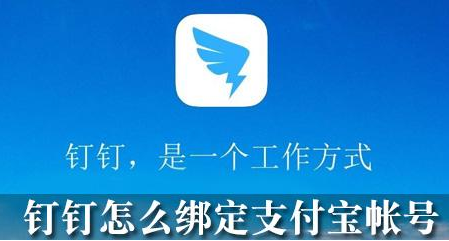 钉钉联合支付宝推13项在线教育数字化措施