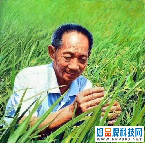 19位品牌年度人物、中国品牌40年40人候选人入选党中央拟表彰名单