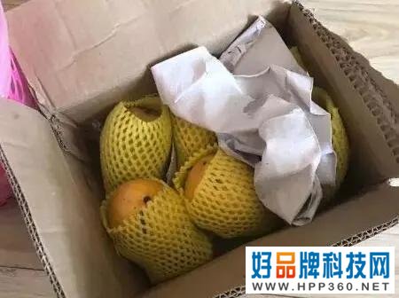 圆通快递员工下跪事件反转,快递行业的底裤被扒的一丝不剩!