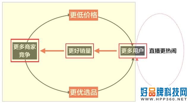 网红造富神话破灭，公司高管多人套现，是割韭菜还是正常操作？
