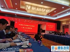 中国电子视像行业协会Mini/Micro LED显示产业分会成立，利亚德集团董事长李军担任会长