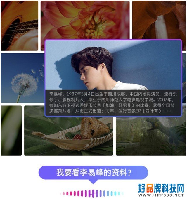 创维导购略略略小垃圾狗 