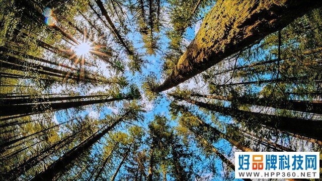 海信ULED超画质电视 E8G实机体验：Mini LED技术与画质调校的完美融合 