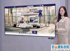 LGDisplay荣获SID Peoples Choice Awards大奖