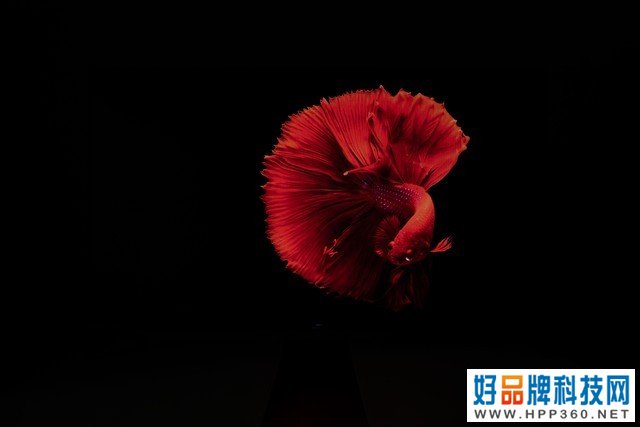夏普B7系列电视评测 