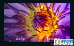 TCL智屏V8 Pro优惠来袭，震撼音画不容错过！