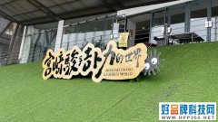 与海信一起 走进不一样的宫崎骏动画世界
