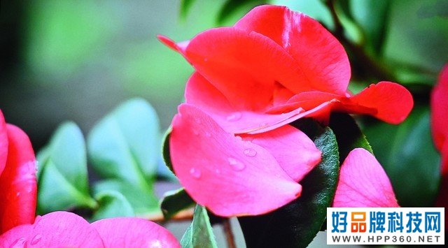 坚果G9S评测 