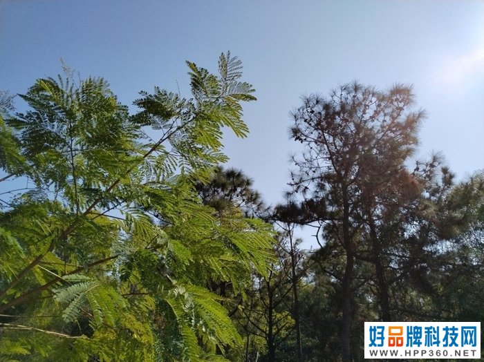 荣耀X30体验：快充2.0+窄边天花板配置 品质可靠