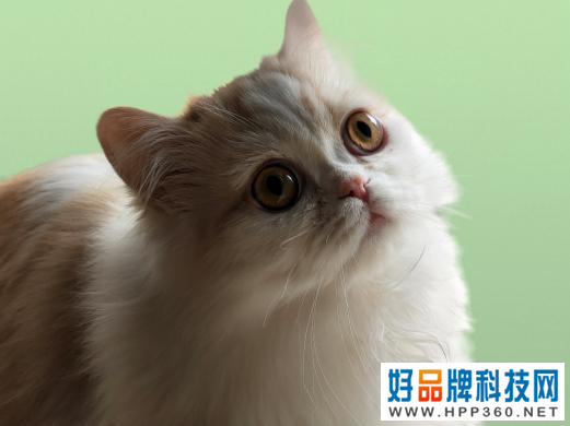 “白天不懂夜的黑” 三星Galaxy S22 Ultra：我却更懂夜的美