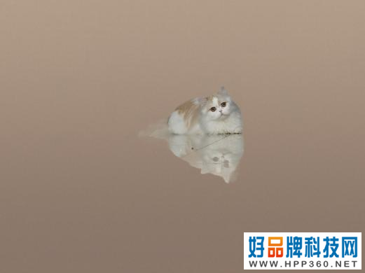 “白天不懂夜的黑” 三星Galaxy S22 Ultra：我却更懂夜的美