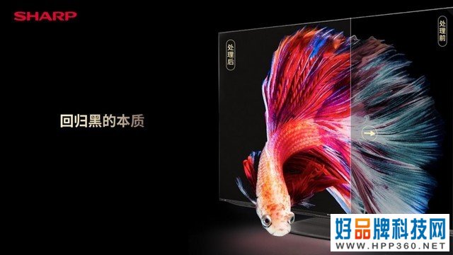 领略光影之美 夏普高端旗舰AQUOS XLED正式发布 
