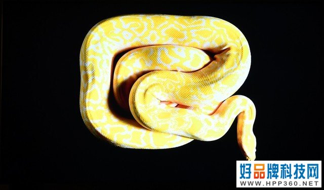 引领大屏画质革命 三星QN85B电视评测 