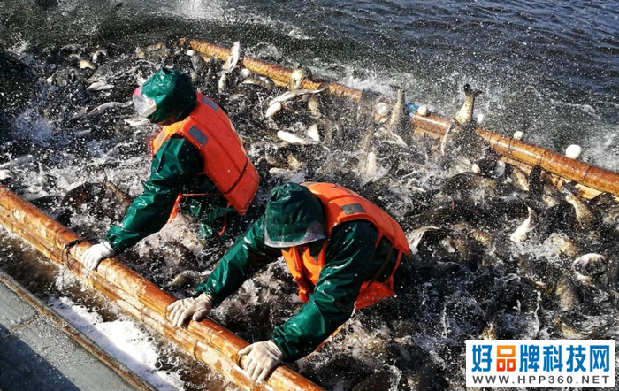 想选一款旗舰级拍照手机？认准它就够了