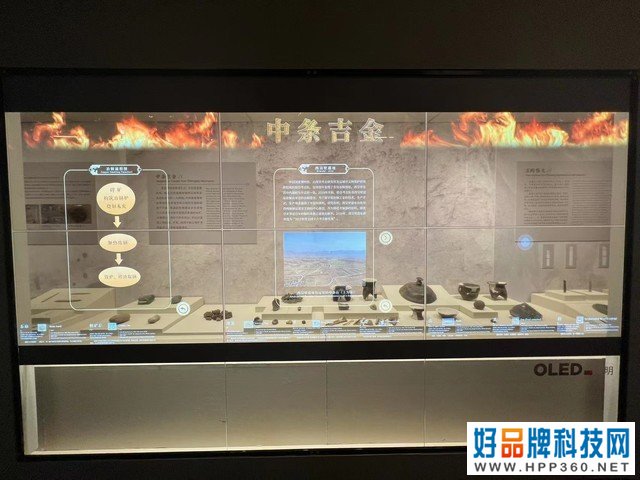 透明OLED进驻国博 科技&人文成展馆新风尚 