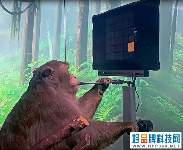 马斯克表示将展示脑机接口的新进展，这项技术靠谱吗？