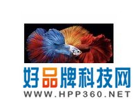 康佳电视 55E8 55英寸 2+32GB 4K超高清全面屏 智慧屏 云游戏 远场语音声控 智能教育液晶电视机 以旧换新