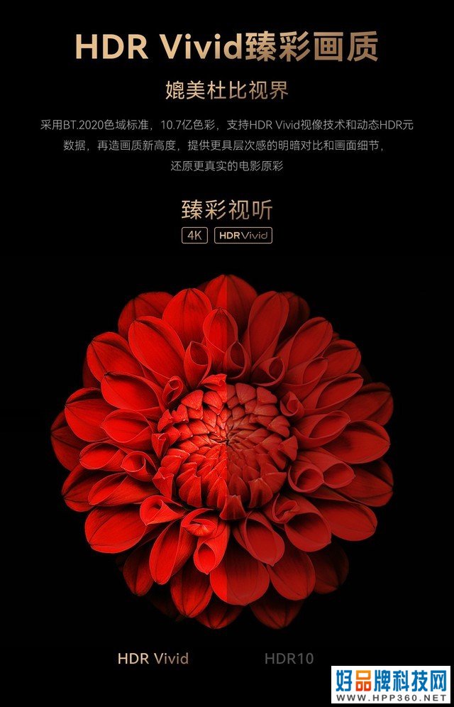 真正想要玩转大屏娱乐 这个宝藏盒子你是绕不过去的 