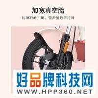 爱玛(AIMA)电动车泡泡48V新国标小型男女成人电动自行车可上牌时尚轻便电瓶车    桃叶粉