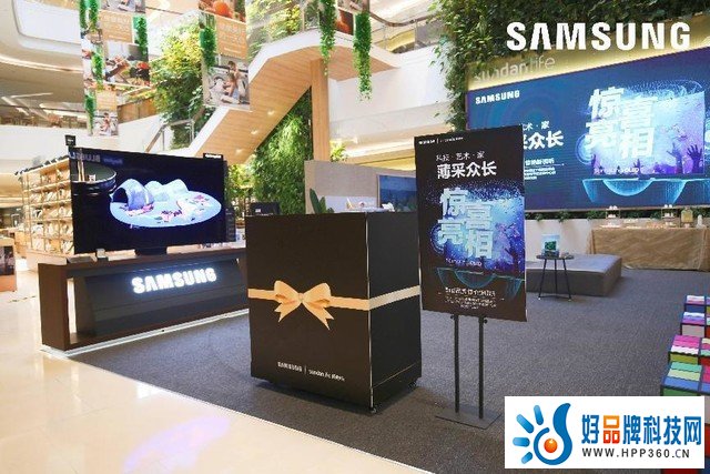 三星OLED电视线下首销品鉴会落地深圳，“光彩薄物馆”彰显顶级视听魅力