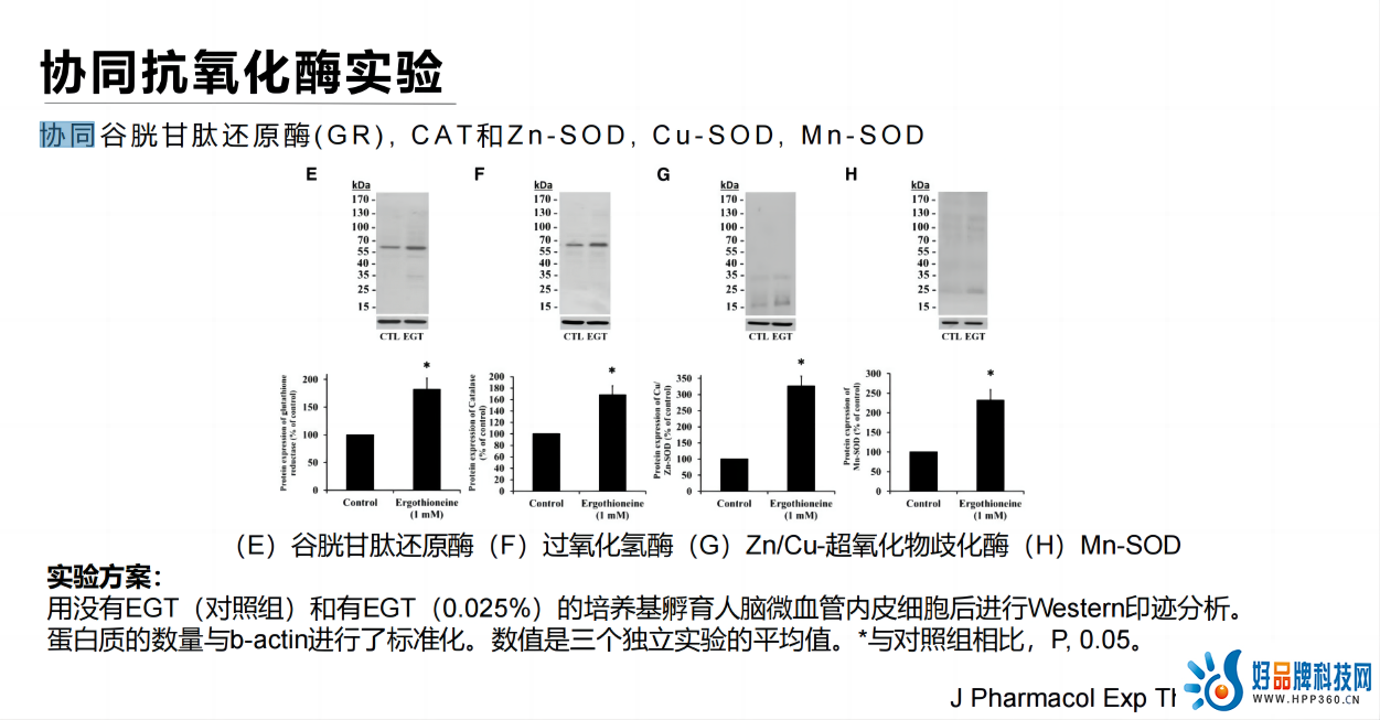 协同抗氧化酶.png