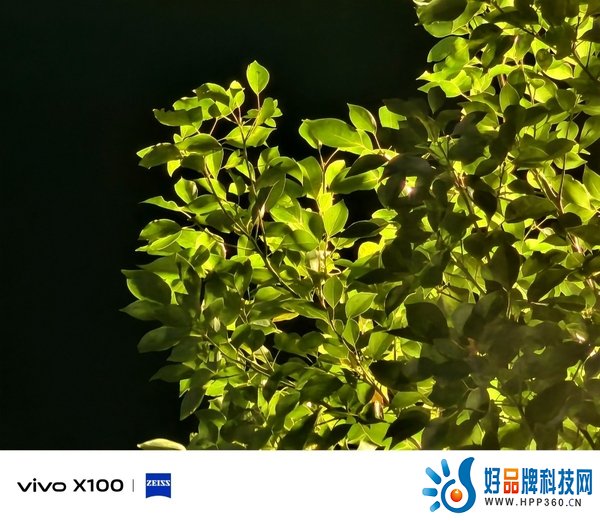 首发天玑9300旗舰芯，vivo X100带来满分旗舰体验