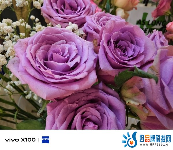 首发天玑9300旗舰芯，vivo X100带来满分旗舰体验
