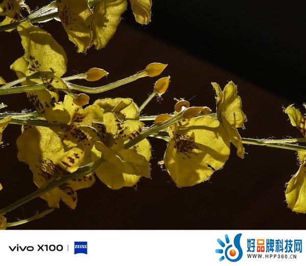 首发天玑9300旗舰芯，vivo X100带来满分旗舰体验