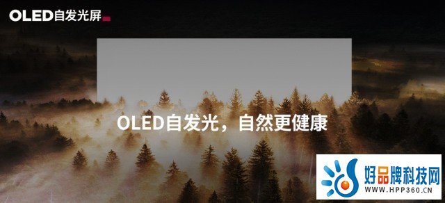 LG Display携众多OLED战略产品亮相CES 2024